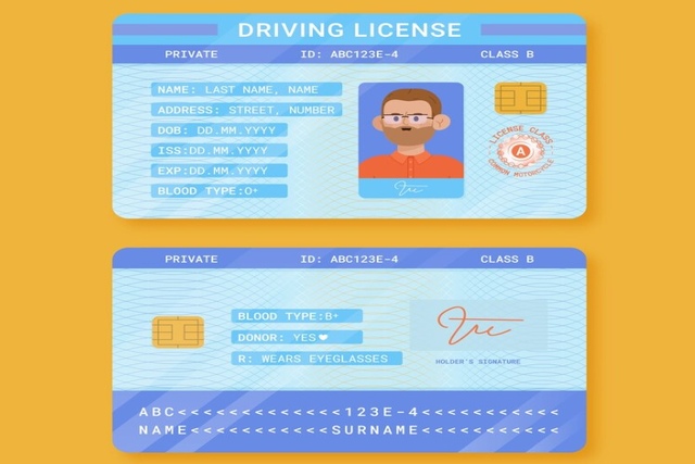 Driving-Licence